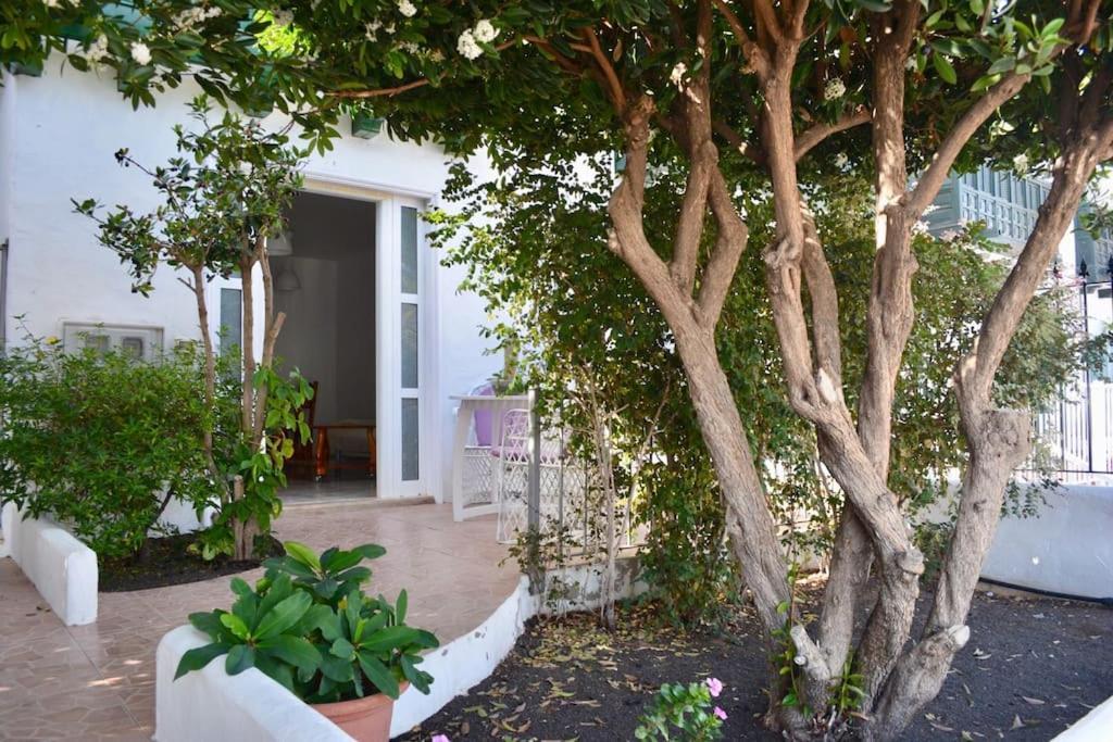 Playa Chica Apt With Terrace 100 M From The Sea Puerto del Carmen  Luaran gambar